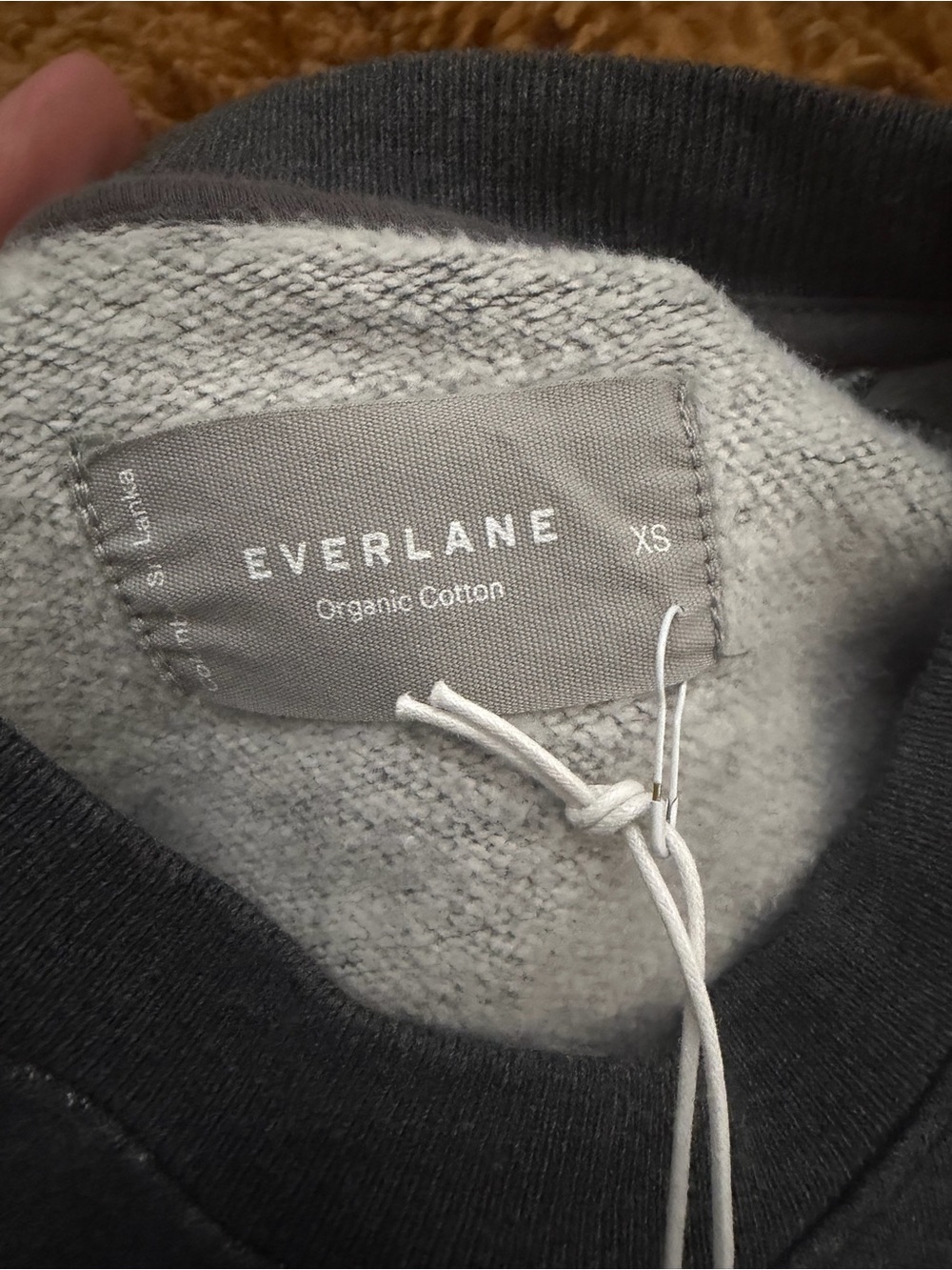 Everlane Crewneck Sweatshirt NWat! - Picture 9 of 9